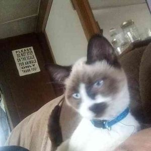 Meet your Posher, Roger